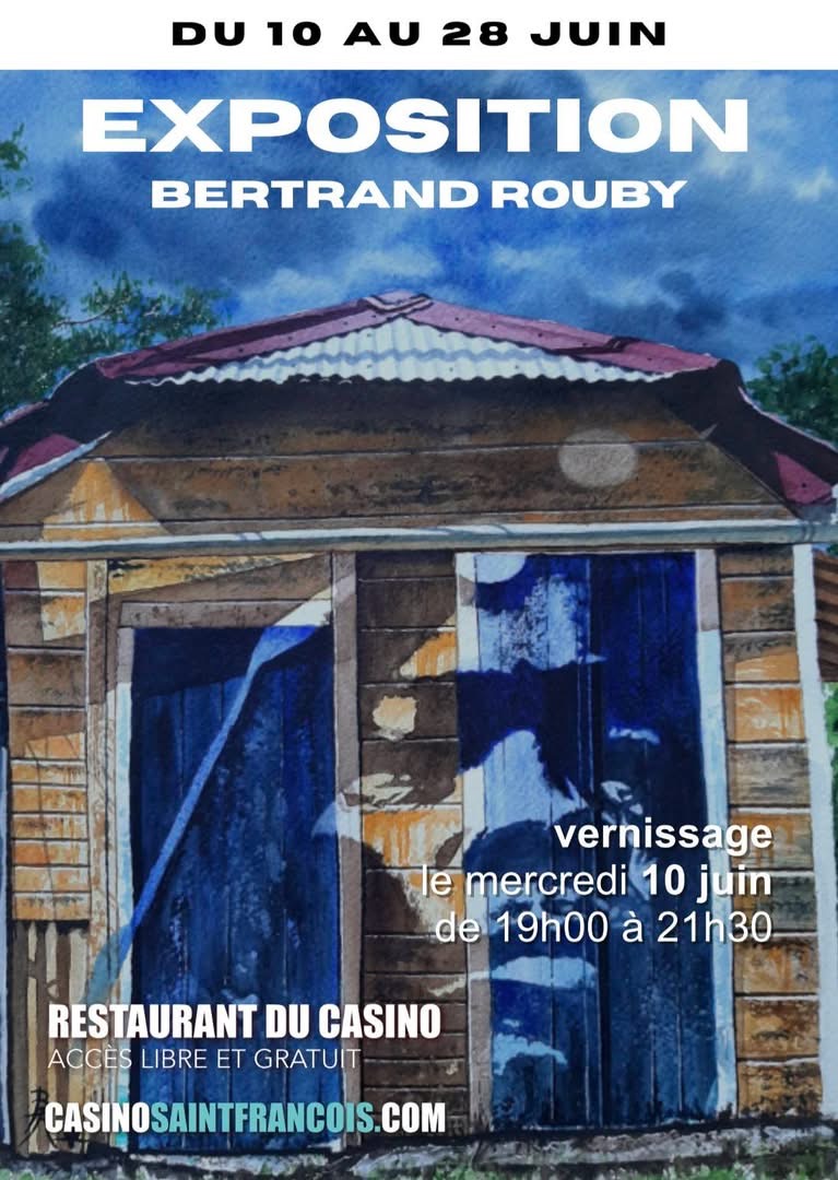 Exposition solo de Bertrand Rouby